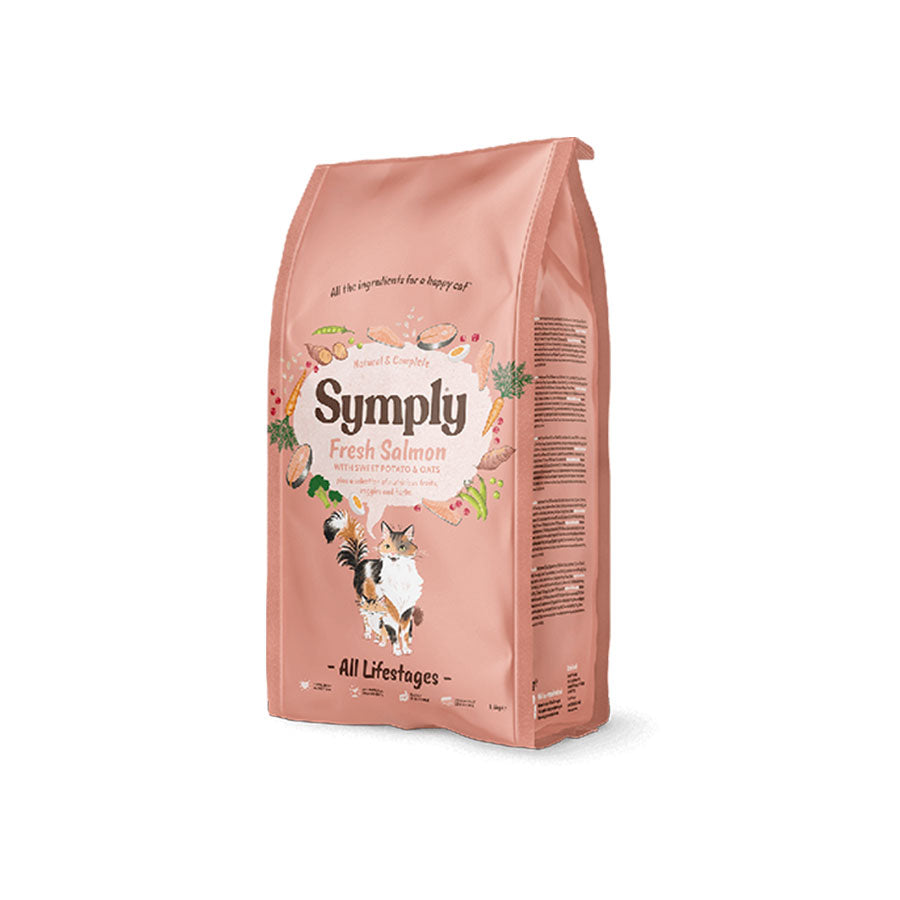 5 Fun Indoor Games to Keep Your Pet Active & Happy