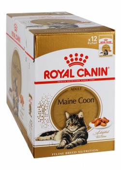 Royal Canin Wet Cat Food in Gravy for Adult Maine Coons (15+ Months)