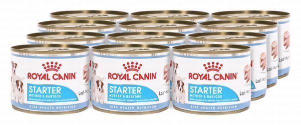 Royal Canin Starter Wet Food Loaf for Mother Dogs & Puppies (Up to 2 Months & Up to 10kg)