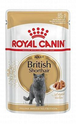 Royal Canin Wet Cat Food for Adult British Shorthair (1+ Years)