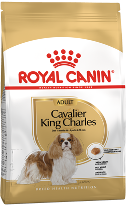 Royal Canin Dry Dog Food for Adult Cavalier King Charles