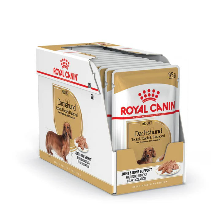 Royal Canin Wet Dog Food for Adult Dachshunds