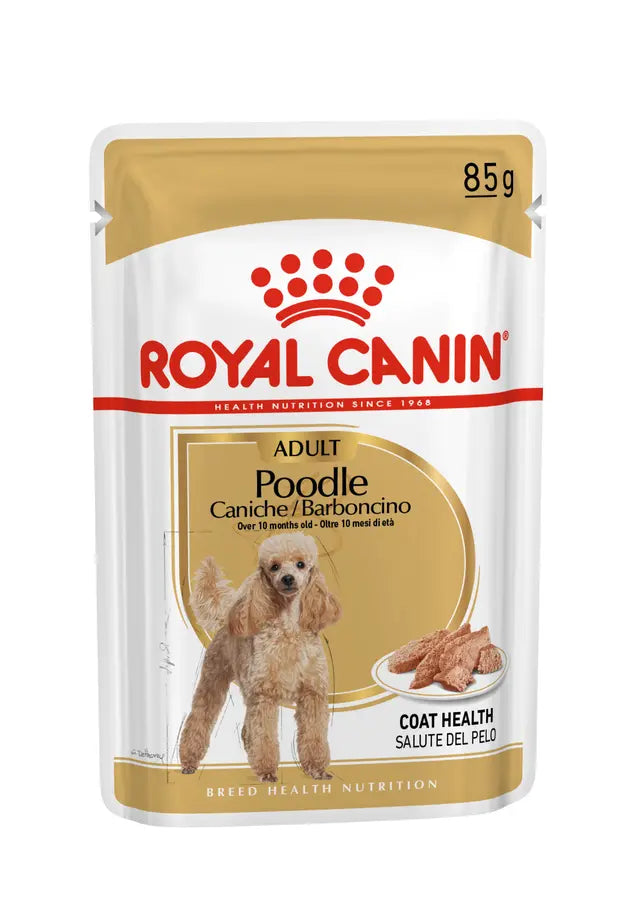 Dog Food & Treats