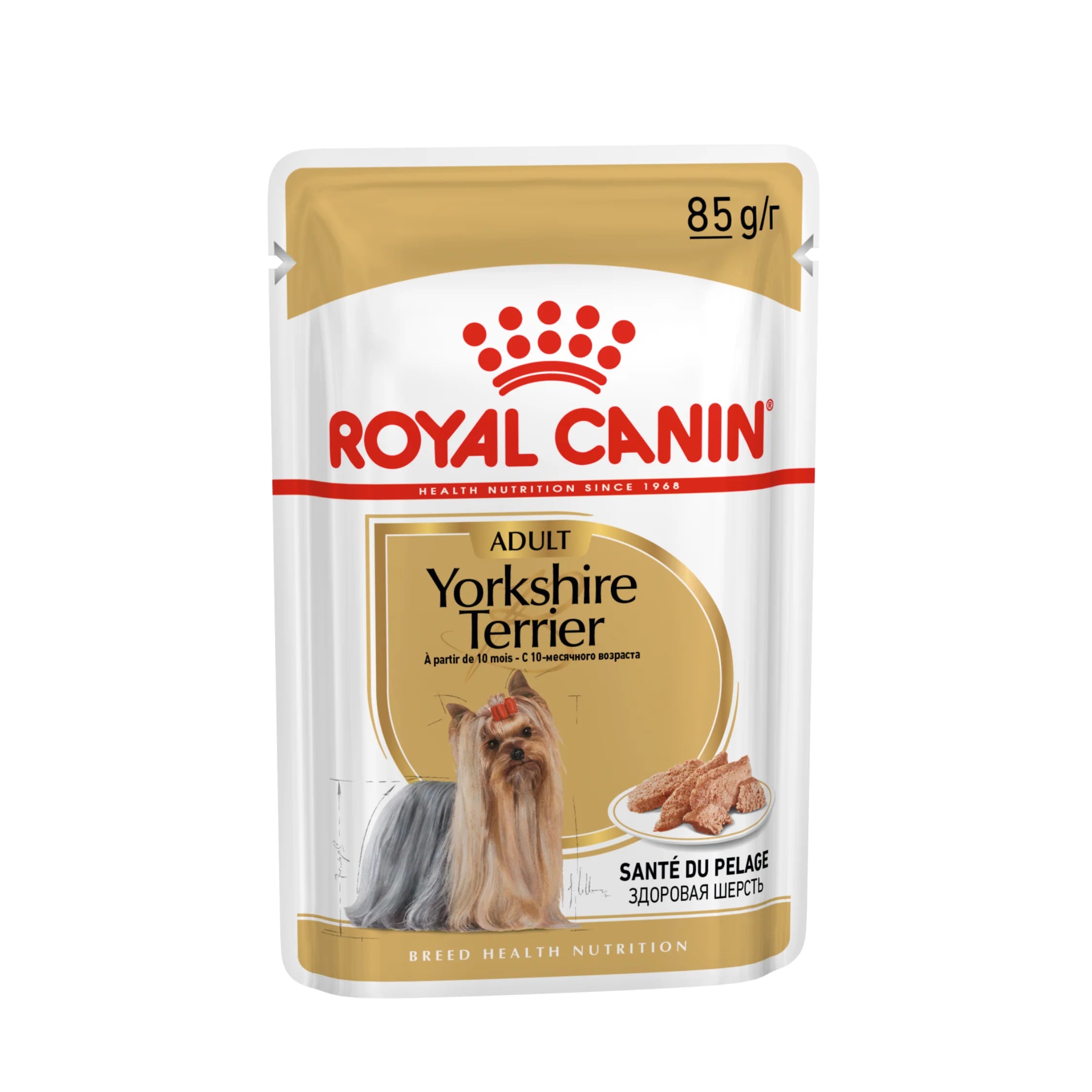 Royal Canin Wet Dog Food for Adult Yorkshire Terriers