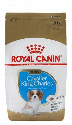 Royal Canin Dry Dog Food for Junior Cavalier King Charles (Up to 10 Months)