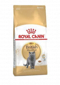 Royal Canin Dry Food for Adult British Shorthair Cats (1-10 Years)