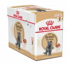 Royal Canin Wet Cat Food for Adult British Shorthair (1+ Years)