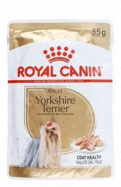 Royal Canin Wet Dog Food for Adult Yorkshire Terriers (10+ Months)