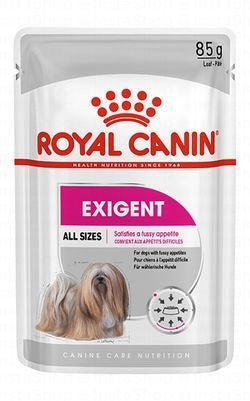 Royal Canin Exigent Wet Food Loaf for Adult Dogs (10+ Months)