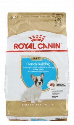 Royal Canin Dry Food for French Bulldog Puppies (Up to 12 Months)