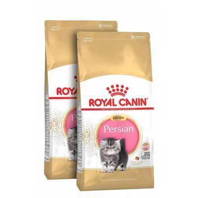 Royal Canin Dry Food for Persian Kittens