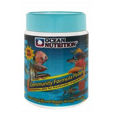Fish Food & Treats