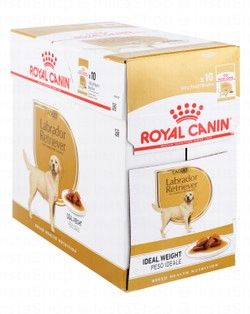 Royal Canin Wet Food for Adult Labrador Retrievers (15+ Months)