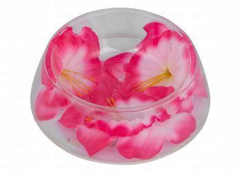 Transparent with Pink Flowers Pet Bowl
