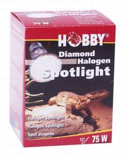 Hobby Diamond Halogen 75W Spotlight for Terrariums
