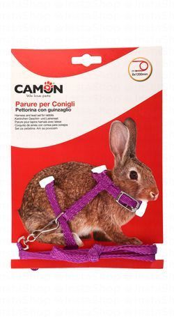 Camon Purple Nylon Rabbit Harness with Leash (120x0.8cm)