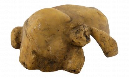 Exo Terra Large Reptile Hiding Cave for Terrariums (10x26x19cm)