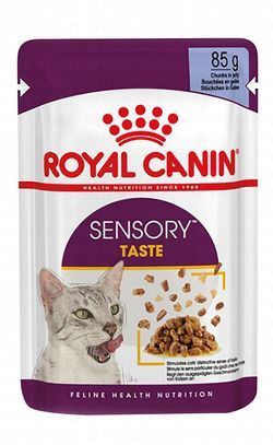 Royal Canin Sensory Taste Wet Food Chunks in Jelly for Adult Cats (12+ Months)