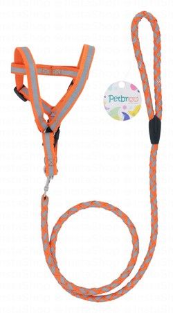 Petbroo Gray & Orange Dog Harness & Leash (120x1.5cm)