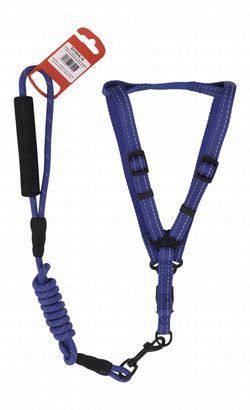 Camon Small Blue Reflective Nylon Dog Harness with Leash (120x0.8cm)