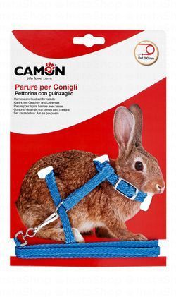 Camon Blue Nylon Rabbit Harness with Leash (120x0.8cm)