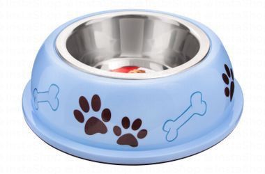 Camon Light Blue 800ml Printed Pet Bowl