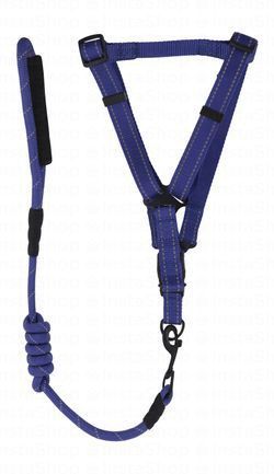 Camon Medium Blue Reflective Nylon Dog Harness with Leash (120x1cm)