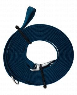 Camon Long Blue Nylon Dog Leash (4mx1.5cm)