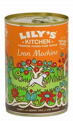 Lily's Kitchen Wet Dog Food with Turkey, Squash, Kale & Goji Berries